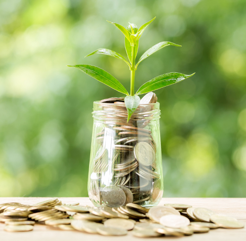Financial minimalism concept - nurturing wealth like a growing tree